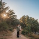 해안카 | 송도 해안숲길, 케이블카 아래 숨겨진 부산 산책로