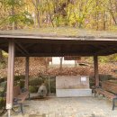 경기둘레길 김포58코스 Daum카페