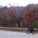 국립두타산자연휴양림 이미지