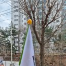 동네악기사 이미지