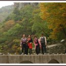 경보사 이미지
