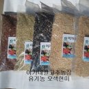 이가네농장 이미지