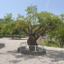 경기둘레길 안성39코스 이미지