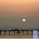 궁평항 주차장 공중화장실 이미지