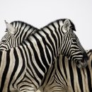 신경주오락실 이미지