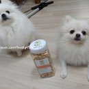 견생맛스토어 네이버블로그