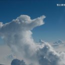 청소광브라더스