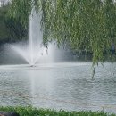 서울대학교 합격자 &#34;생활수기 공모&#34; 이미지