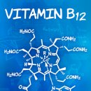 B12 이미지