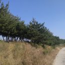 청산수목원 이미지