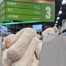 트레이더스 홀세일클럽 월평점 이미지