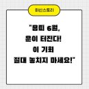 용띠네 이미지