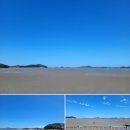 태안 바다랑캠핑장 내돈내산 후기 사이트에서 바로 낚시캠핑