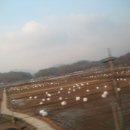 목계교