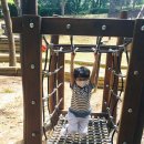 3.1.공원 이미지