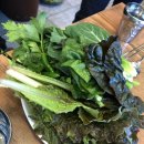 옥돌정쌈밥 | 인천 계산역 계산동 맛집 옥돌정쌈밥 건강식 제육쌈밥 메뉴&amp;후기