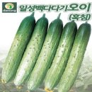 H0075 이미지