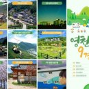 은해사 벚꽃길 이미지