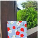 일출봉민박 이미지