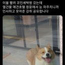 두꺼비세탁소 이미지