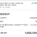 팬텀플러스주