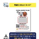 진슈퍼(공) | 셀렉트 슈퍼TB 풋살공 4호 챔스 공인구 매치볼 OMB 오렌지 리뷰 후기