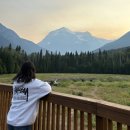 떠블유(W)호텔 | 캐나다 밴쿠버 어학연수 기록 - 3박 4일 밴프 로키 투어