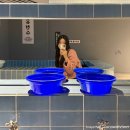 대전역 놀거리 유성온천 전성시대 무료 전시회 추천