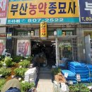 부산농약종묘사 이미지