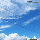 남이섬 하늘사랑 이미지