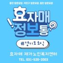 경기처인방문요양센터 이미지