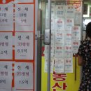 매경공인중개사사무소 이미지