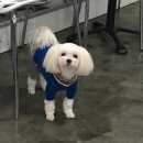 두리PC 이미지