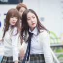 신비 Daum카페