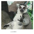 아임 꽐라 이미지