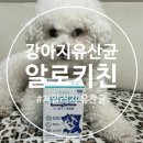 알로만 | 강아지 유산균 추천 알로키친 이너플로우 유산균 솔직후기