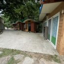 팔공산오리 이미지