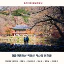 영천약수 | 전남 장성 백암산 BAC100대명산⛰️ 가을단풍명산🍁 백양사 약사암 📍 영천굴 약수와 예쁜단풍구경