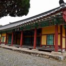 江-오후의 대화 | 정암 조광조 유배지와 영벽정