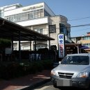제주도이호바다배낚시체험 이미지