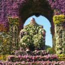 함평군보건소 이미지