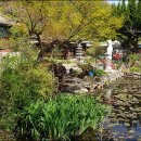 안초산길 이미지