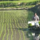 소연농장 이미지