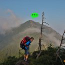 김해-진영-2-비상-3 이미지