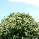 흥해시장 이미지