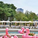 뚝섬한강공원-21 이미지