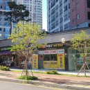 운정상가114부동산공인중개사사무소 이미지