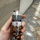 진솔투어 | [오사카 근교투어]이네후나야 + 아마노 하시다테 버스 투어 진솔후기