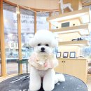 에브리 뽀송 이미지