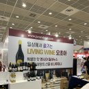 🍷 2022 서울국제 주류 박람회 🍺